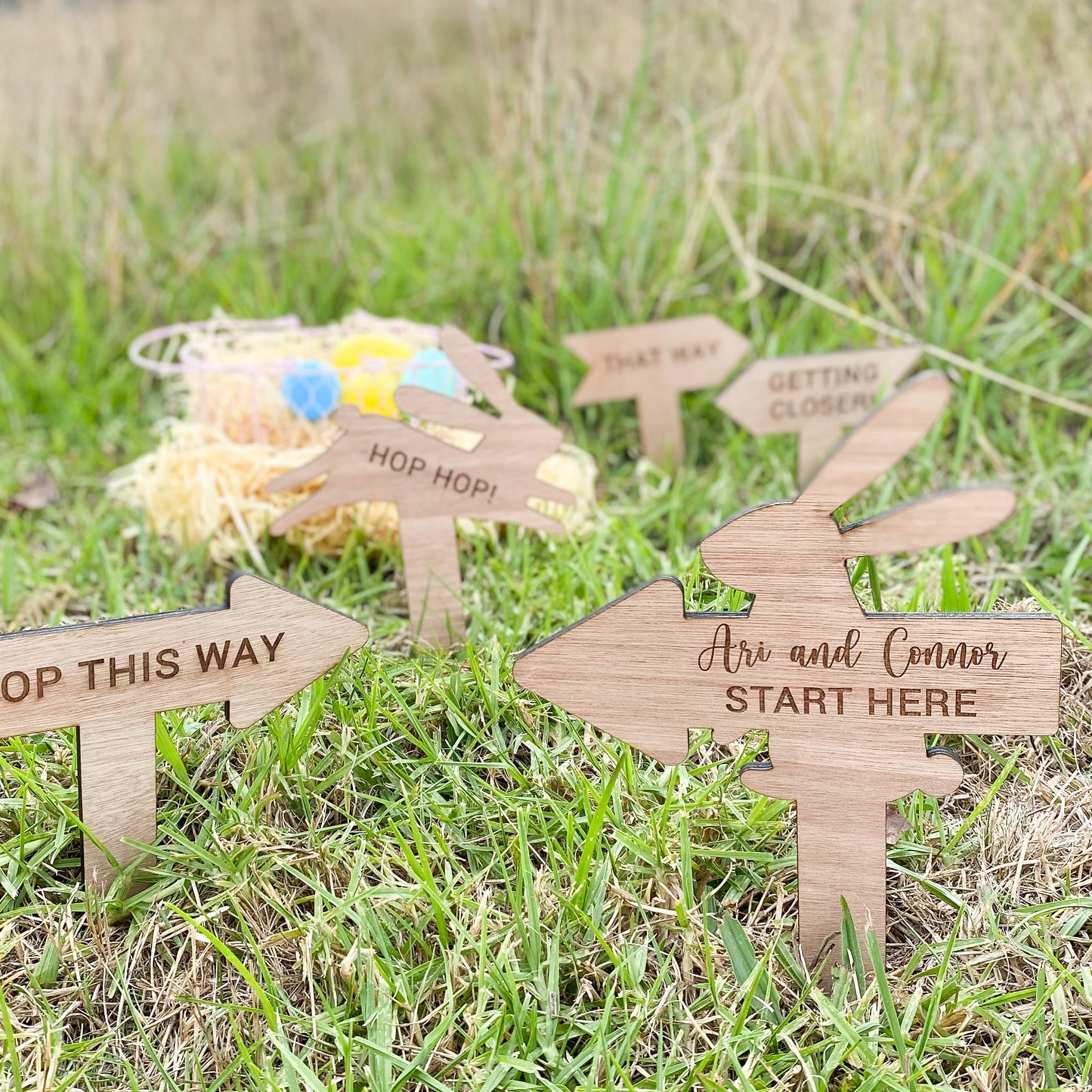 Easter Egg Hunt Signs